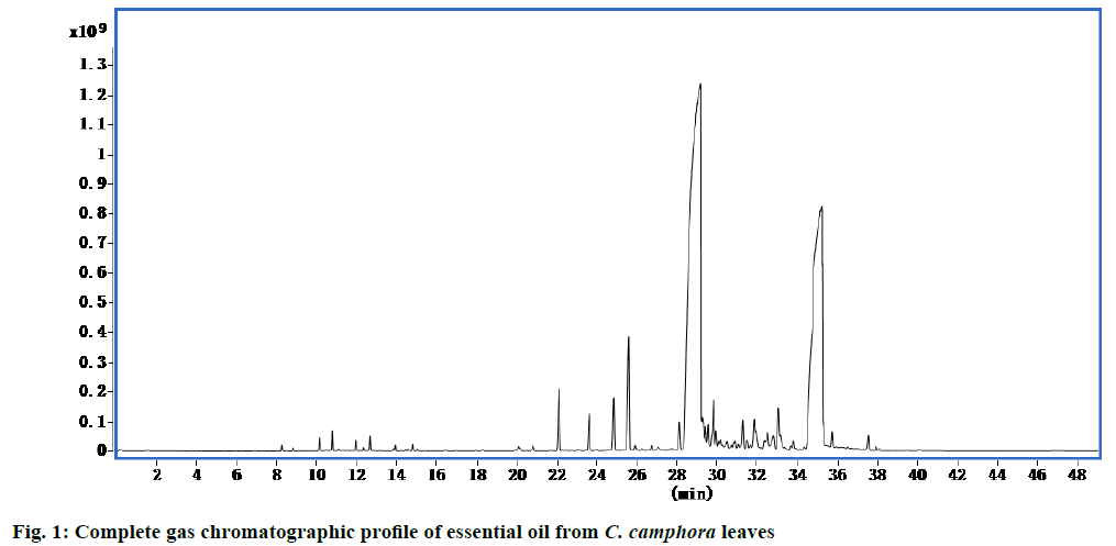 ijpsonline-chromatographic-profile