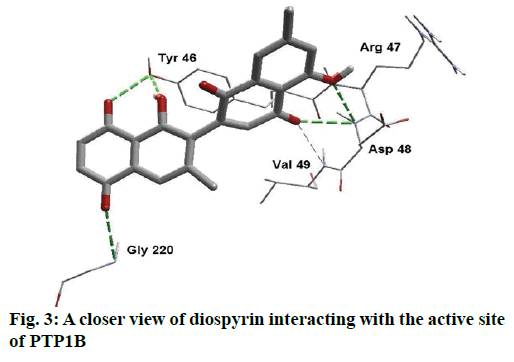 ijpsonline-closer-view