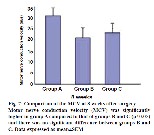 ijpsonline-compared