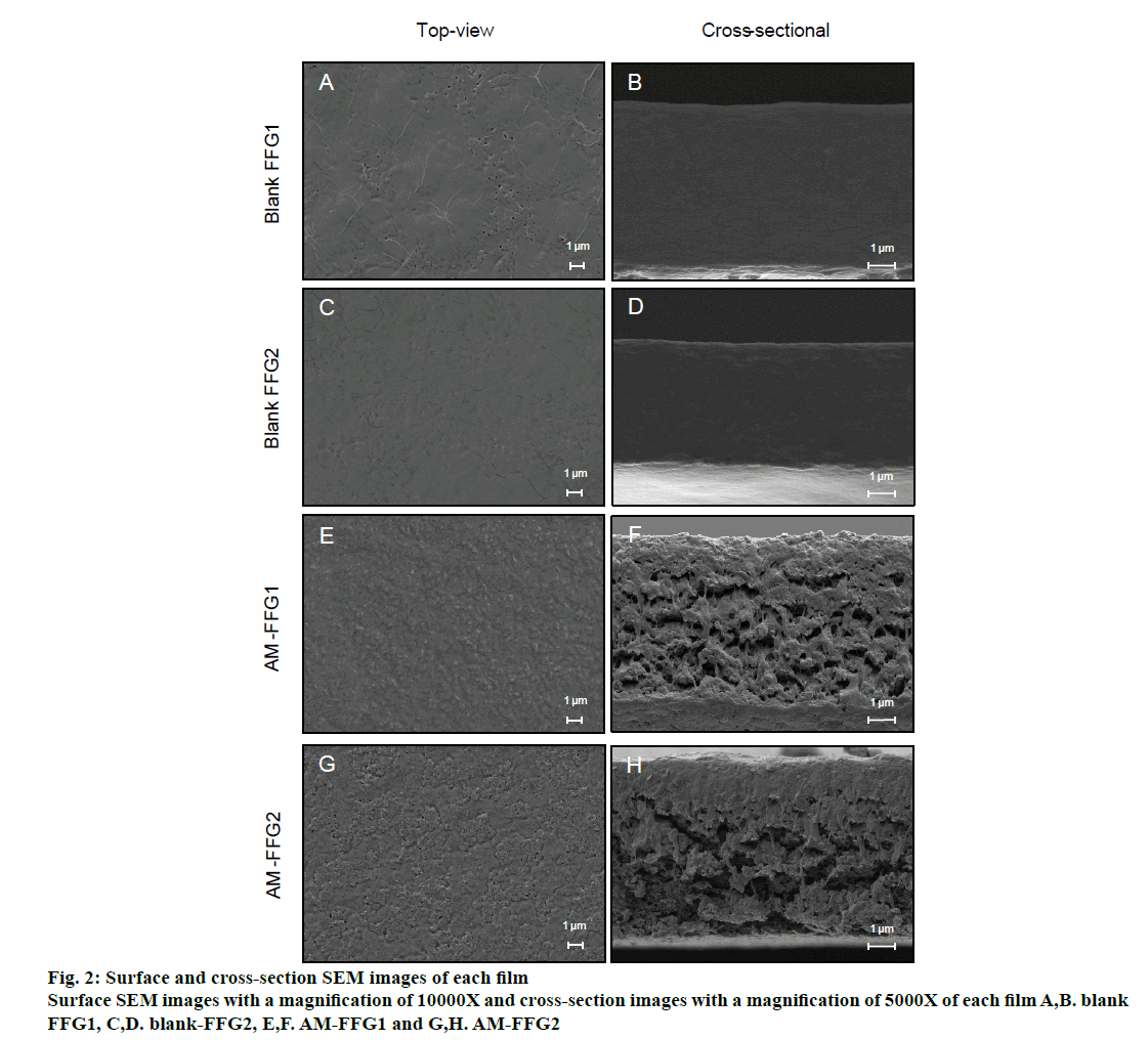 ijpsonline-cross-section