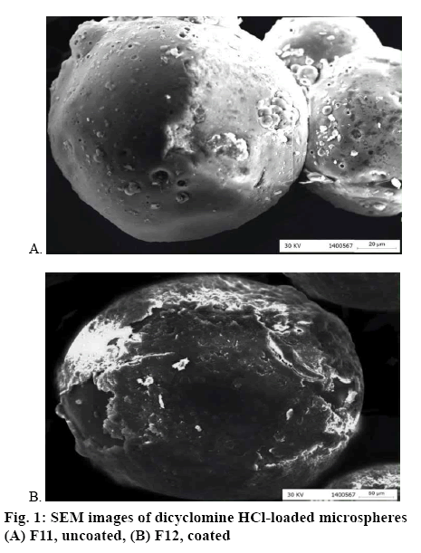 ijpsonline-dicyclomine