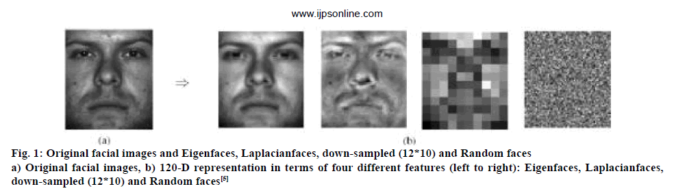 ijpsonline-eigenfaces-laplacianfaces