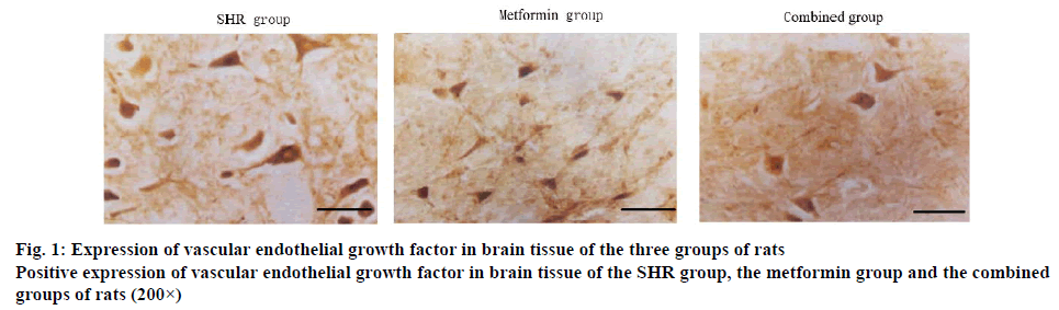 ijpsonline-endothelial