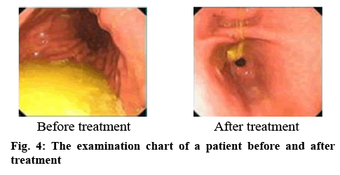 ijpsonline-examination