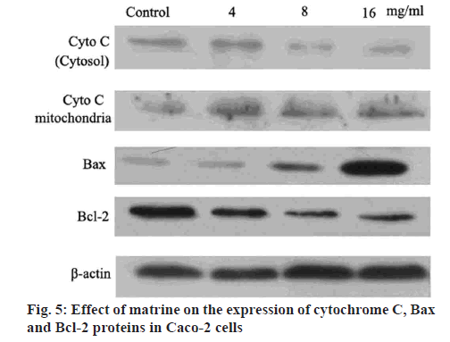 ijpsonline-expression