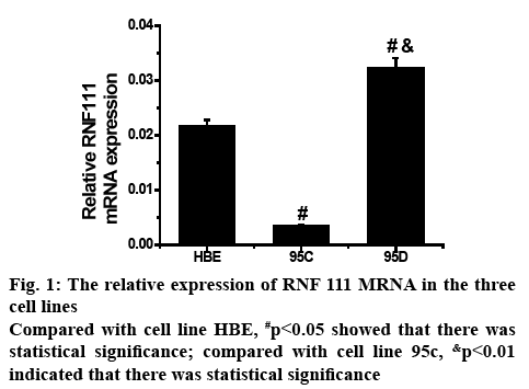 ijpsonline-expression