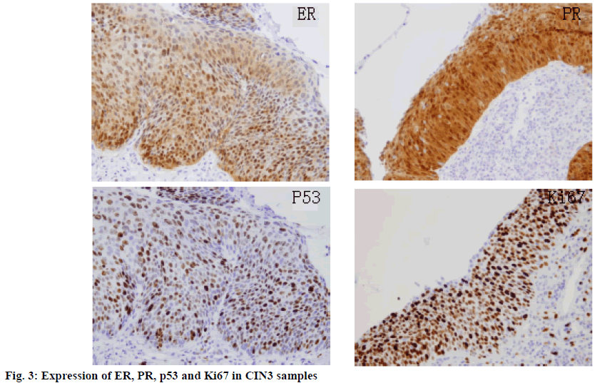 ijpsonline-expression-samples