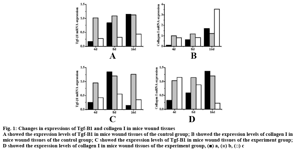 ijpsonline-expressions