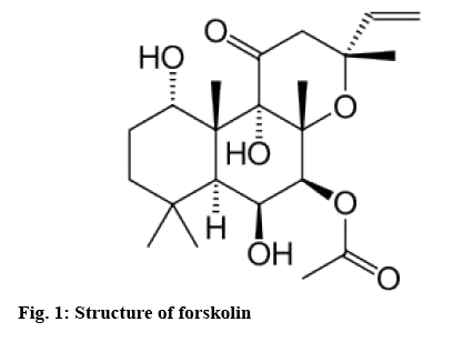 ijpsonline-forskolin