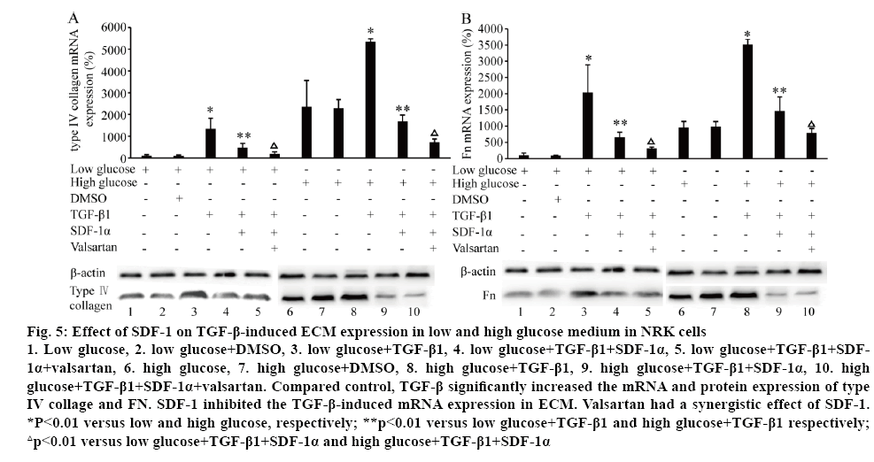 ijpsonline-glucose