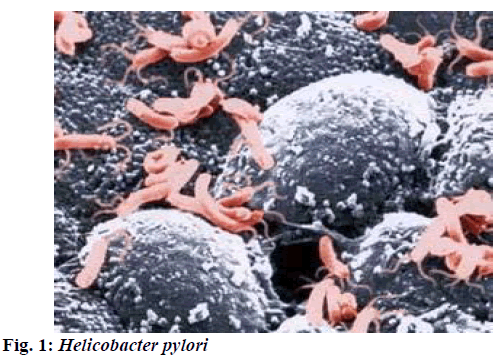 ijpsonline-helicobacter-pylori