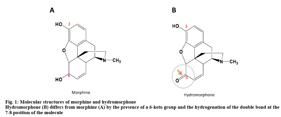 ijpsonline-hydromorphone