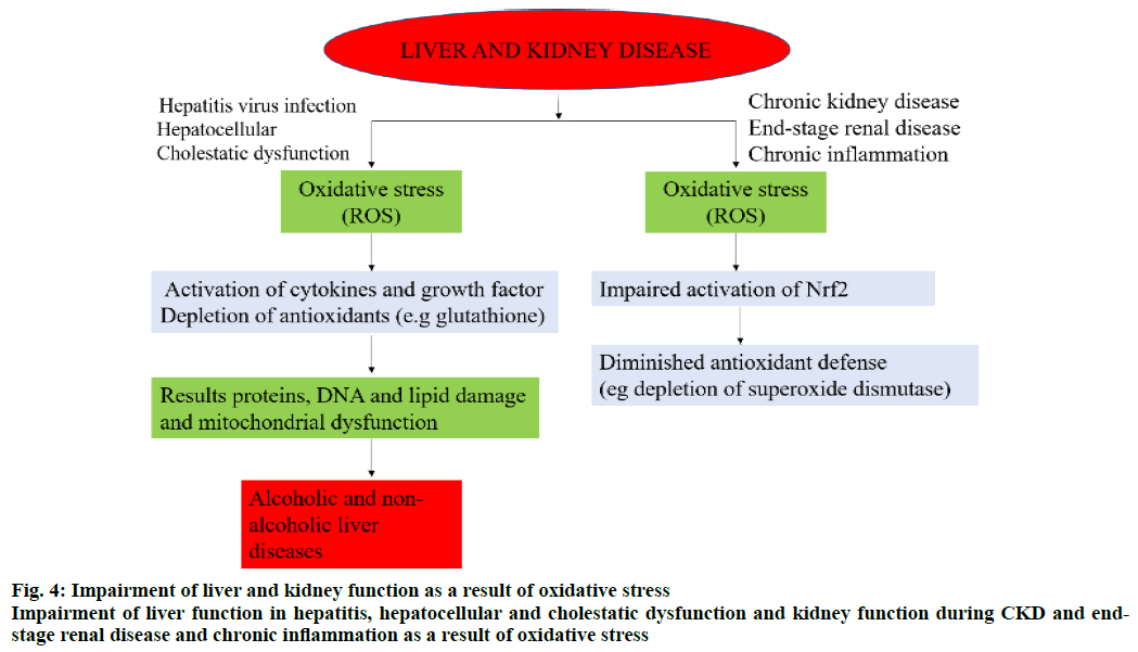 ijpsonline-impairment-liver