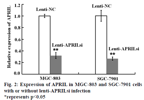 ijpsonline-infection