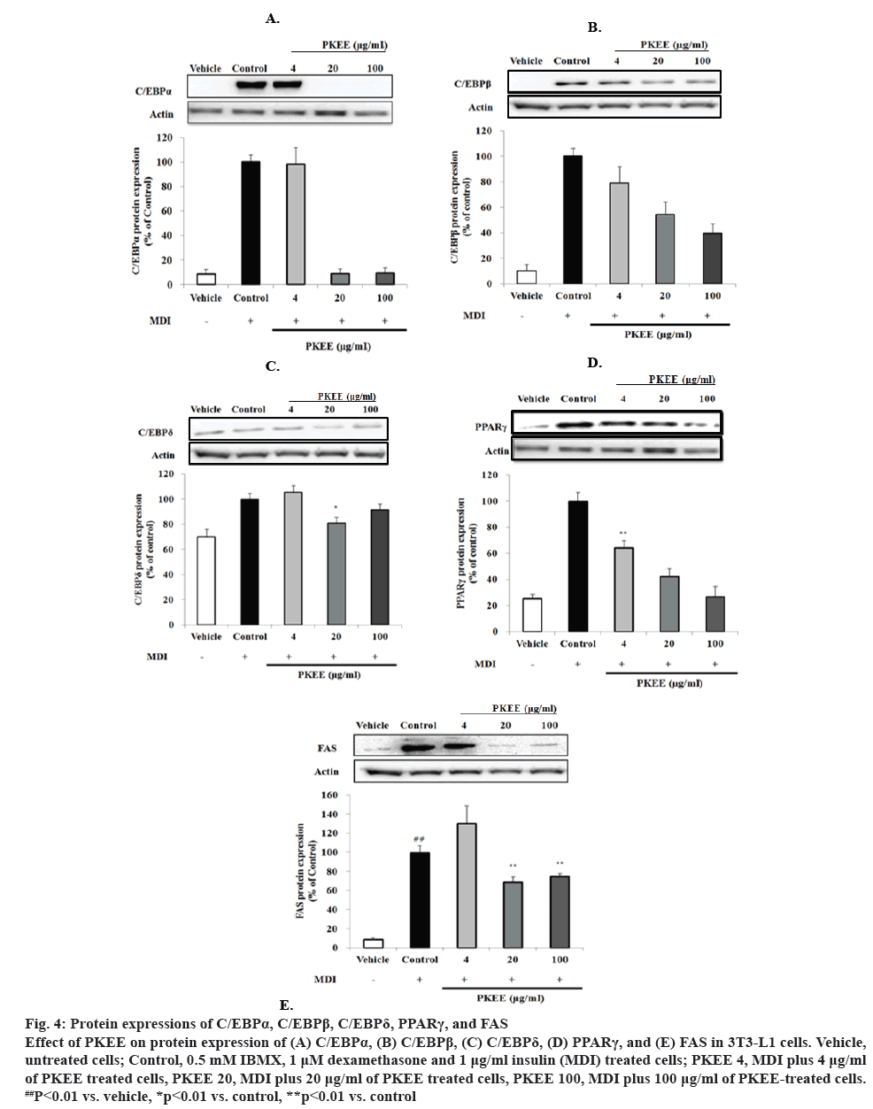 ijpsonline-insulin