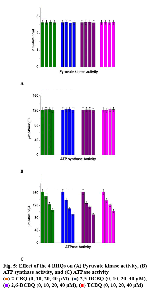 ijpsonline-kinase