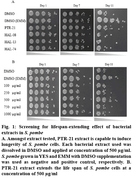 ijpsonline-lifespan-extending