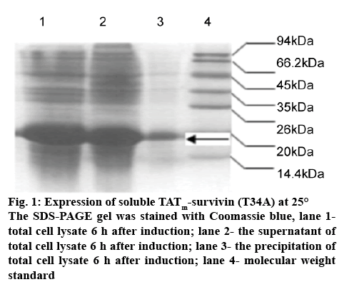 ijpsonline-lysate