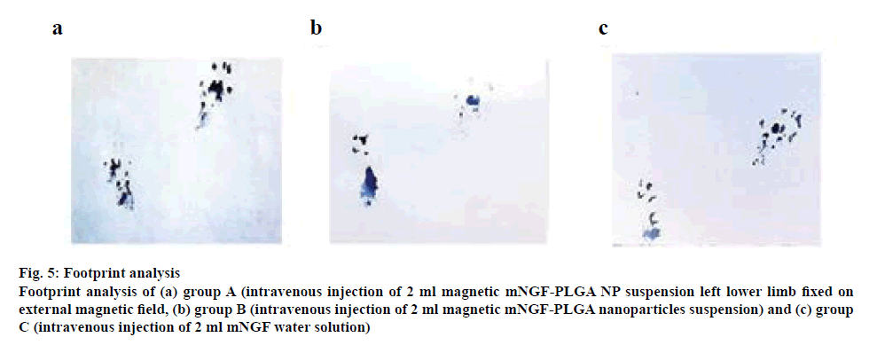 ijpsonline-magnetic