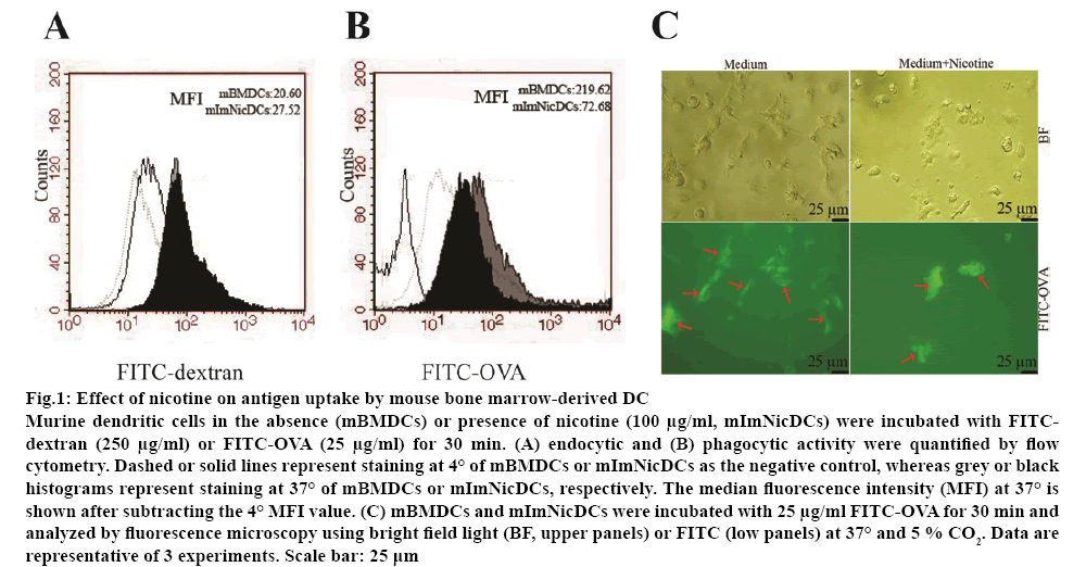 ijpsonline-marrow-derived