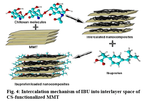 ijpsonline-mechanism