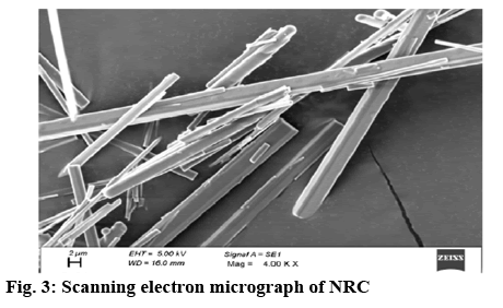 ijpsonline-micrograph