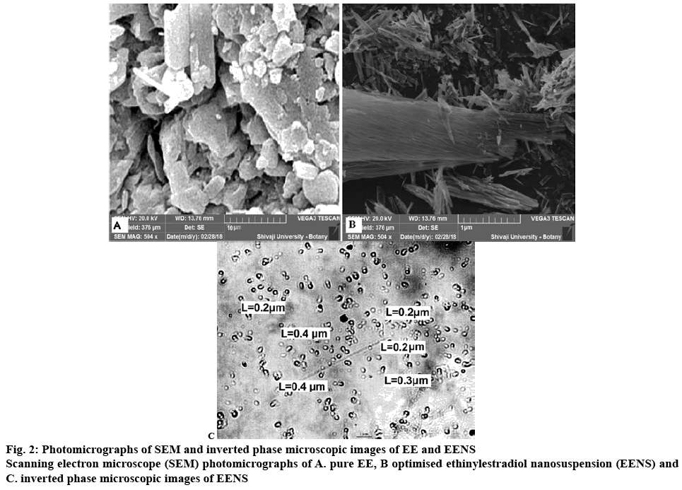 ijpsonline-microscopic