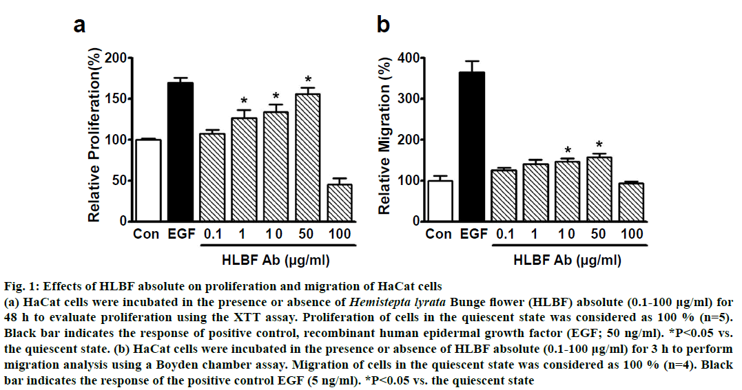 ijpsonline-migration-proliferation-cells