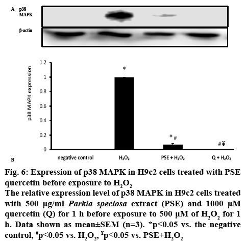 ijpsonline-negative-control