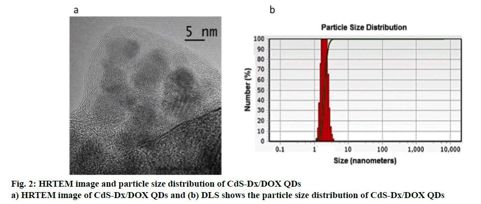 ijpsonline-particle-size