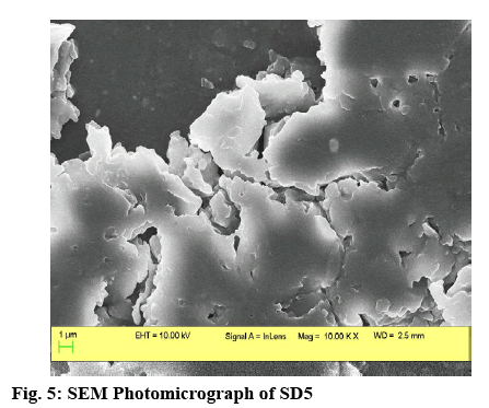 ijpsonline-photomicrograph