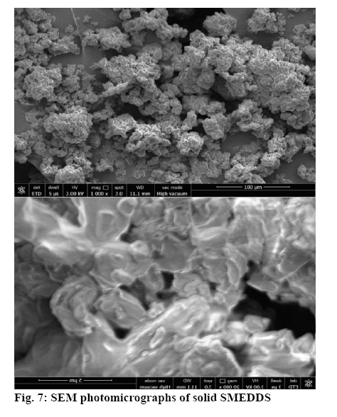 ijpsonline-photomicrographs