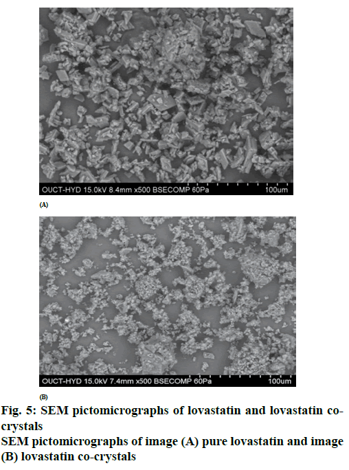 ijpsonline-pictomicrographs-lovastatin