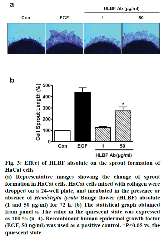 ijpsonline-positive-control