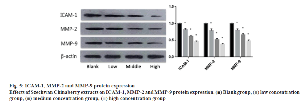 ijpsonline-protein