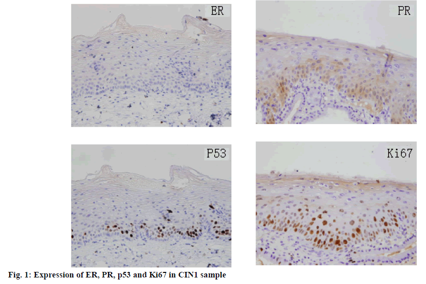 ijpsonline-sample