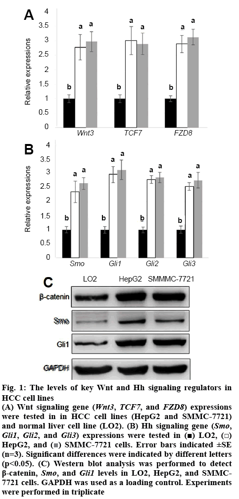 ijpsonline-signaling