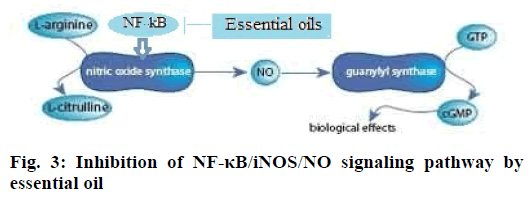 ijpsonline-signaling-pathway