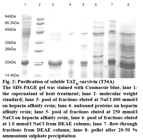 ijpsonline-soluble