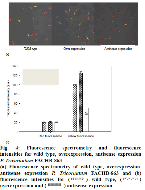 ijpsonline-spectrometry