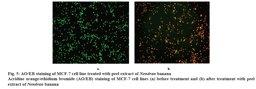 ijpsonline-staining