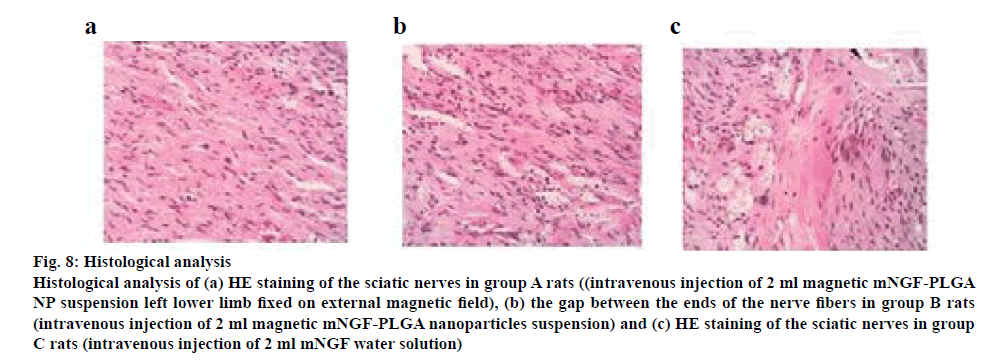 ijpsonline-staining