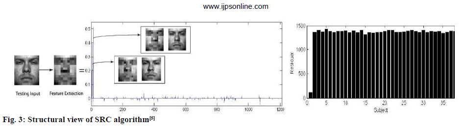 ijpsonline-structural-view