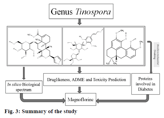 ijpsonline-summary-study