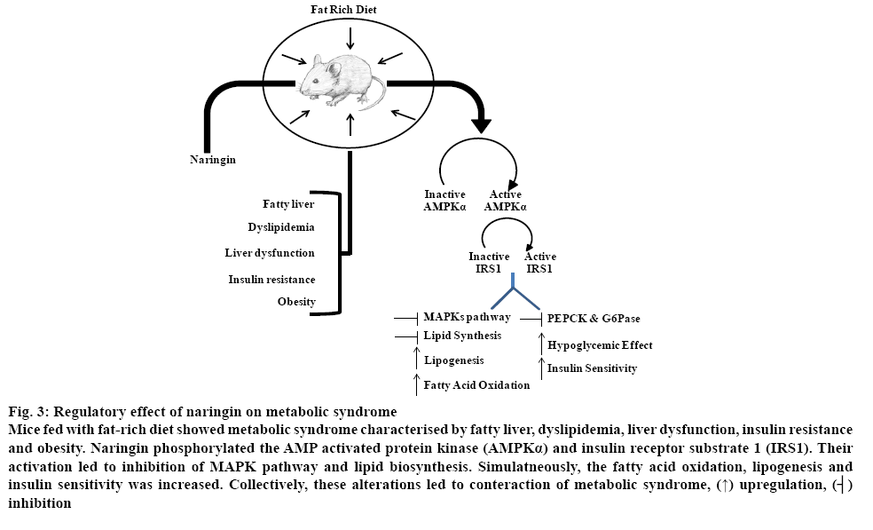 ijpsonline-syndrome