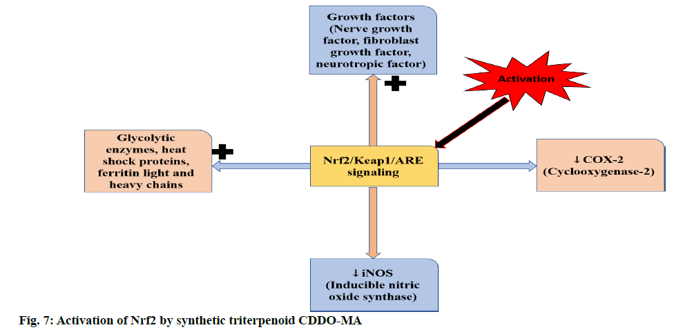 ijpsonline-synthetic-triterpenoid