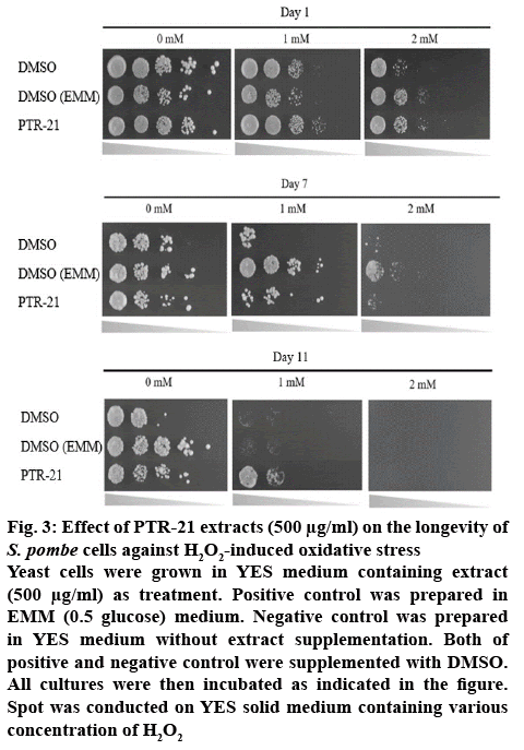 ijpsonline-treatment