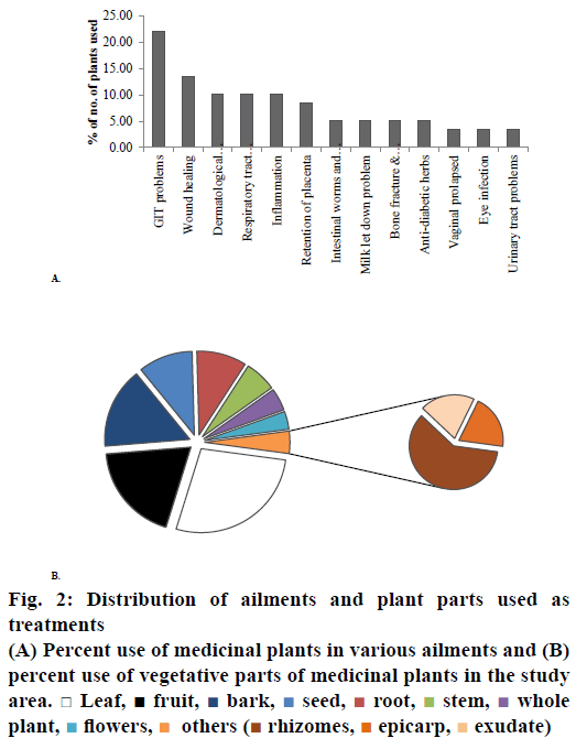 pharmaceutical-sciences-ailments-plant