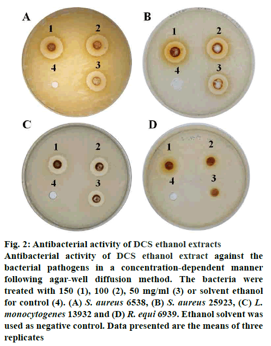 pharmaceutical-sciences-antibacterial-ethanol