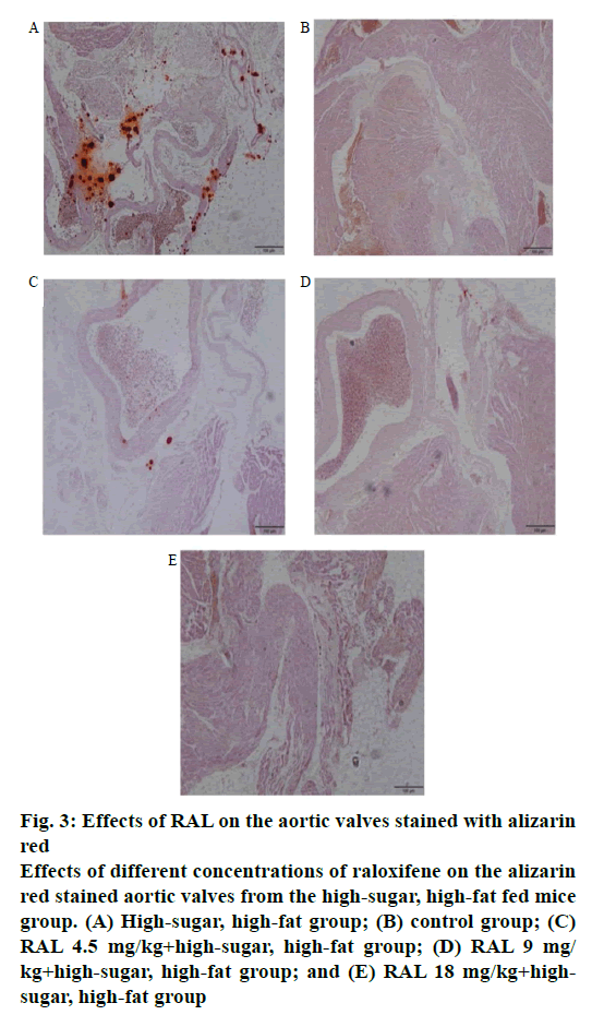 pharmaceutical-sciences-aortic-alizarin